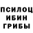 Псилоцибиновые грибы Magic Shrooms Amankos Omirbaev