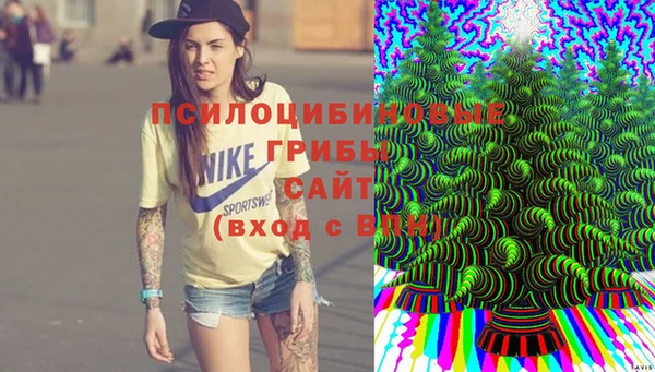 соль ск Абдулино