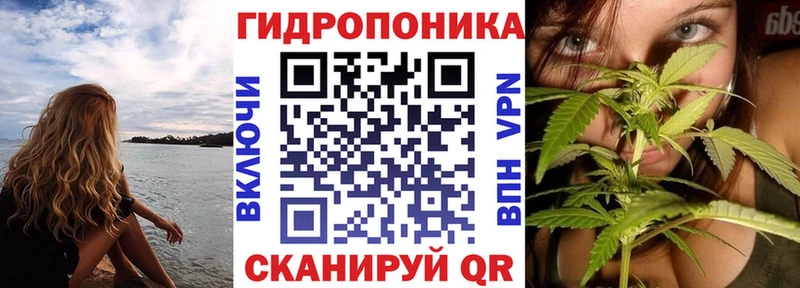 где купить   Александровск-Сахалинский  OMG онион  МАРИХУАНА тримм 